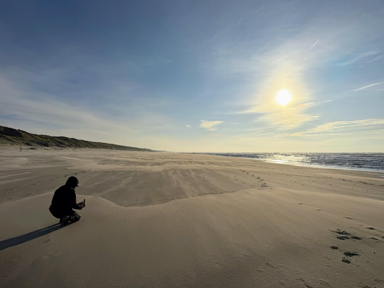 The Workspace Advantage: Google’s Quiet Lead in the AI Shift