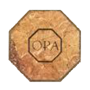 Finding My Place in Europe’s AI Future