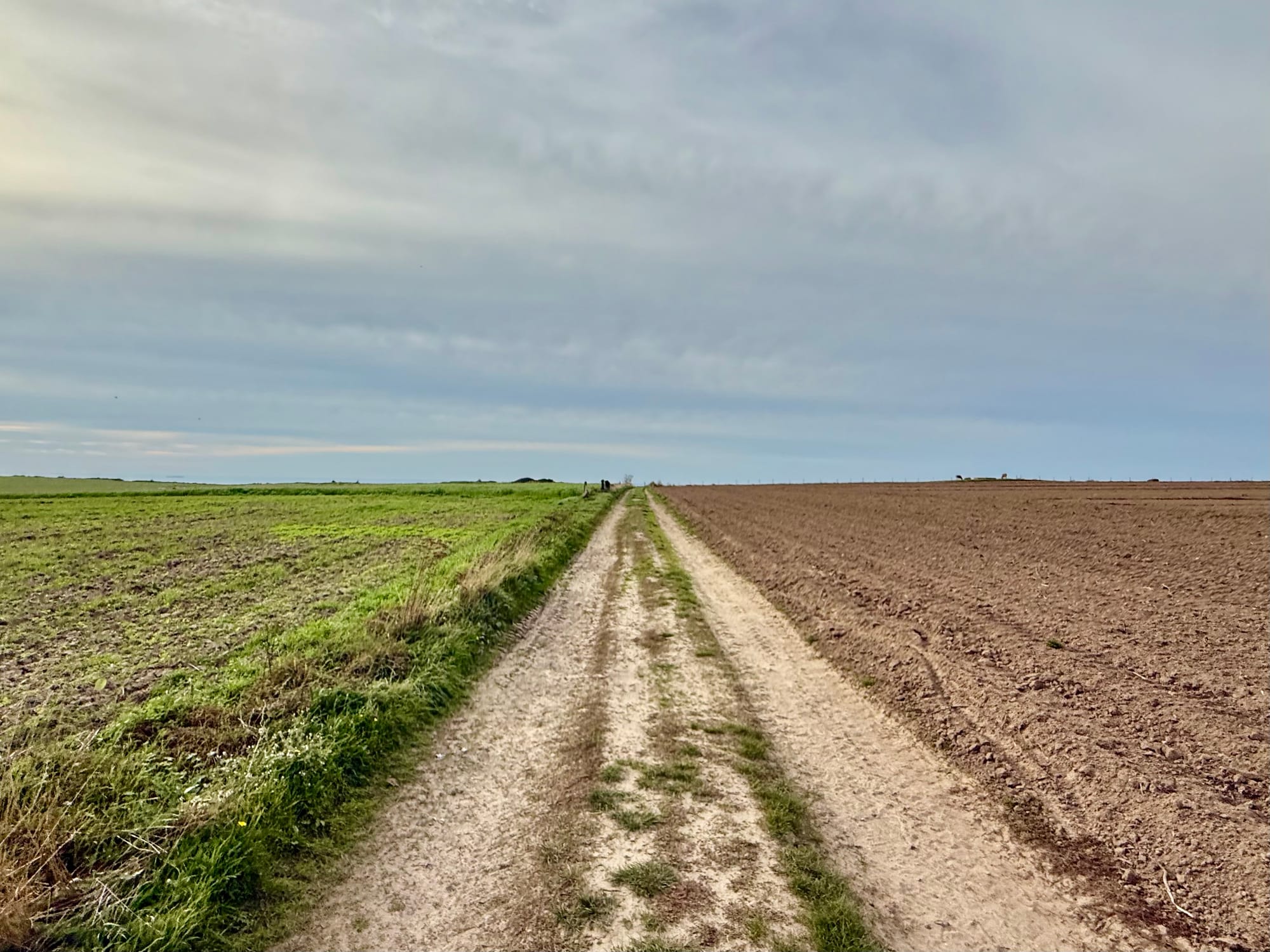 From Free to Paid: Choosing the Right AI Model (with a European Lens)