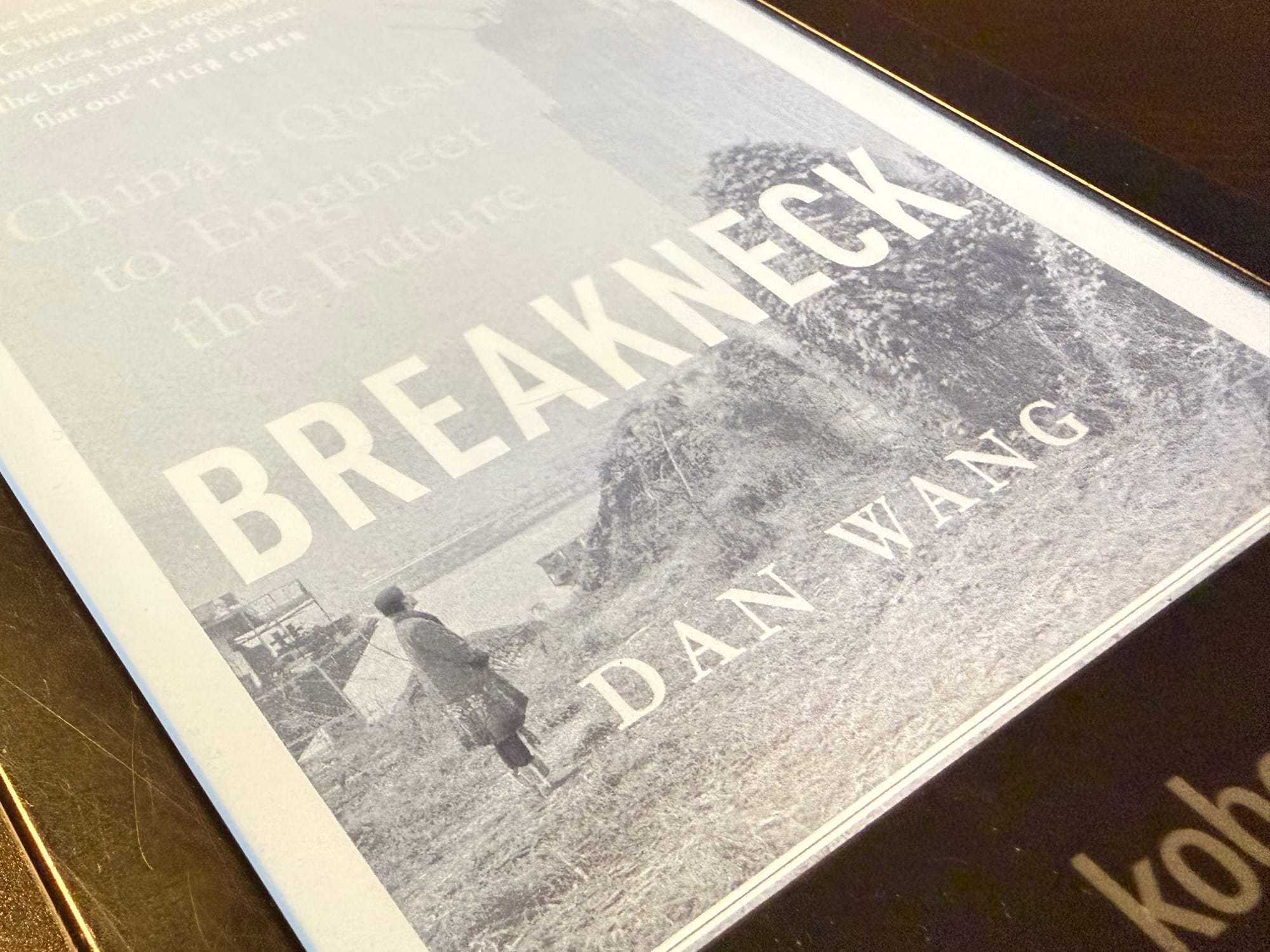 Reading Breakneck by Dan Wang