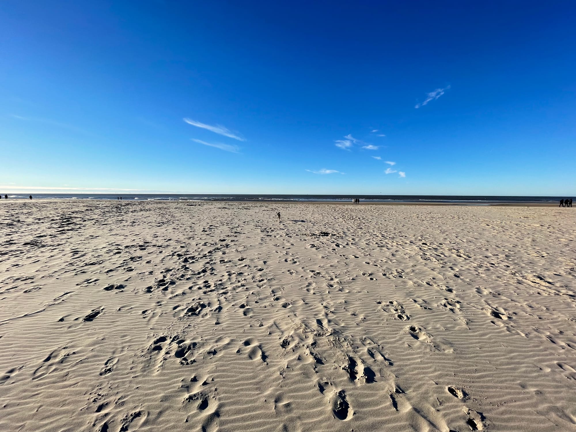 The Real Cost of Leaving Microsoft 365