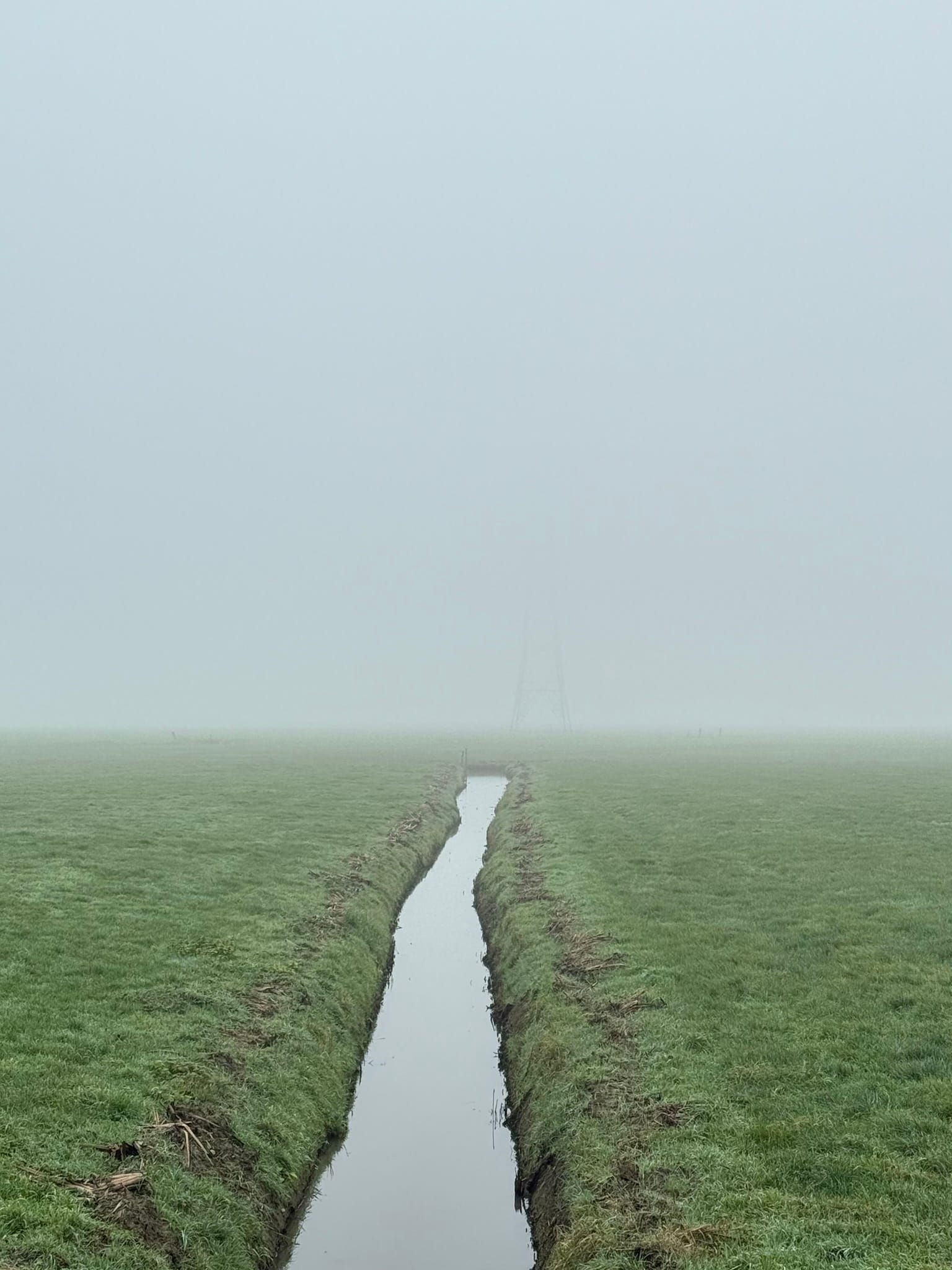 Word of the year: model