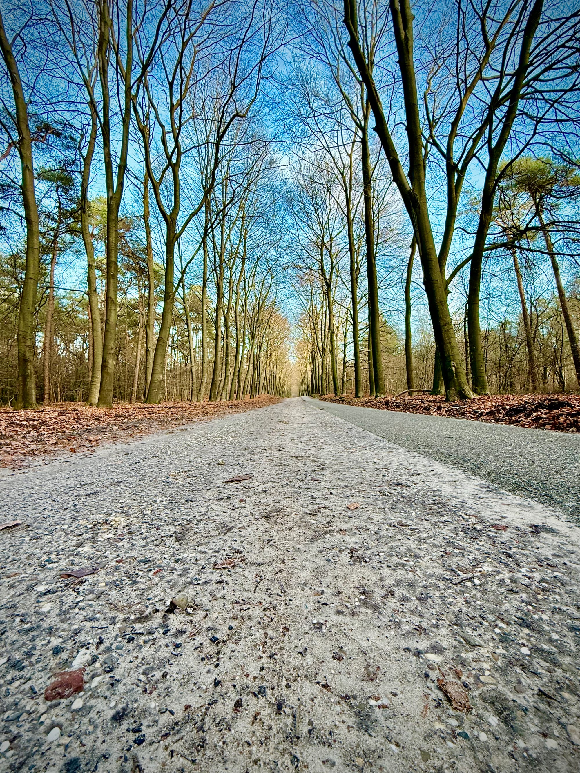 The Hot Potato of Compliance