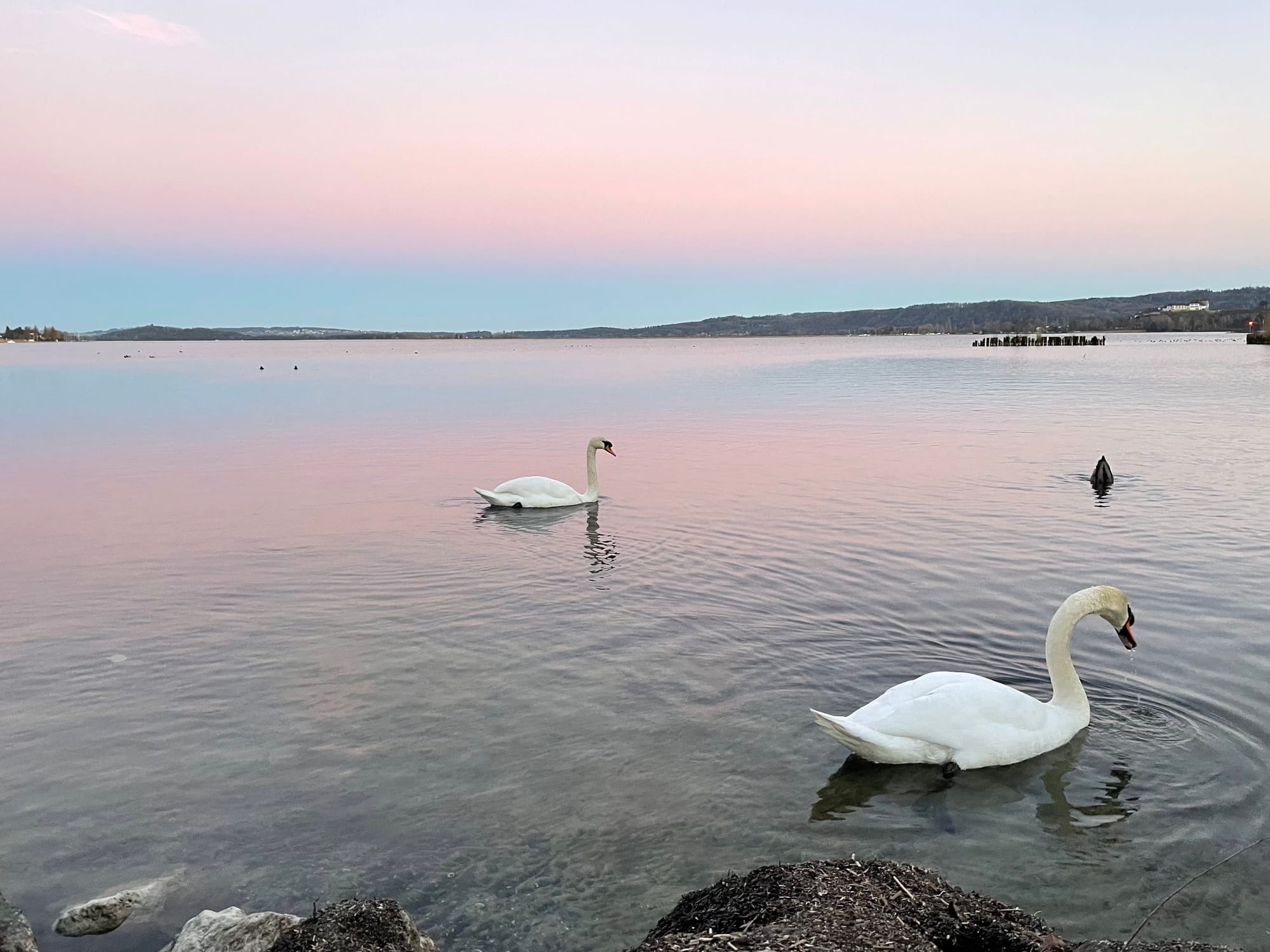 Colour, systems, and the moment it clicked