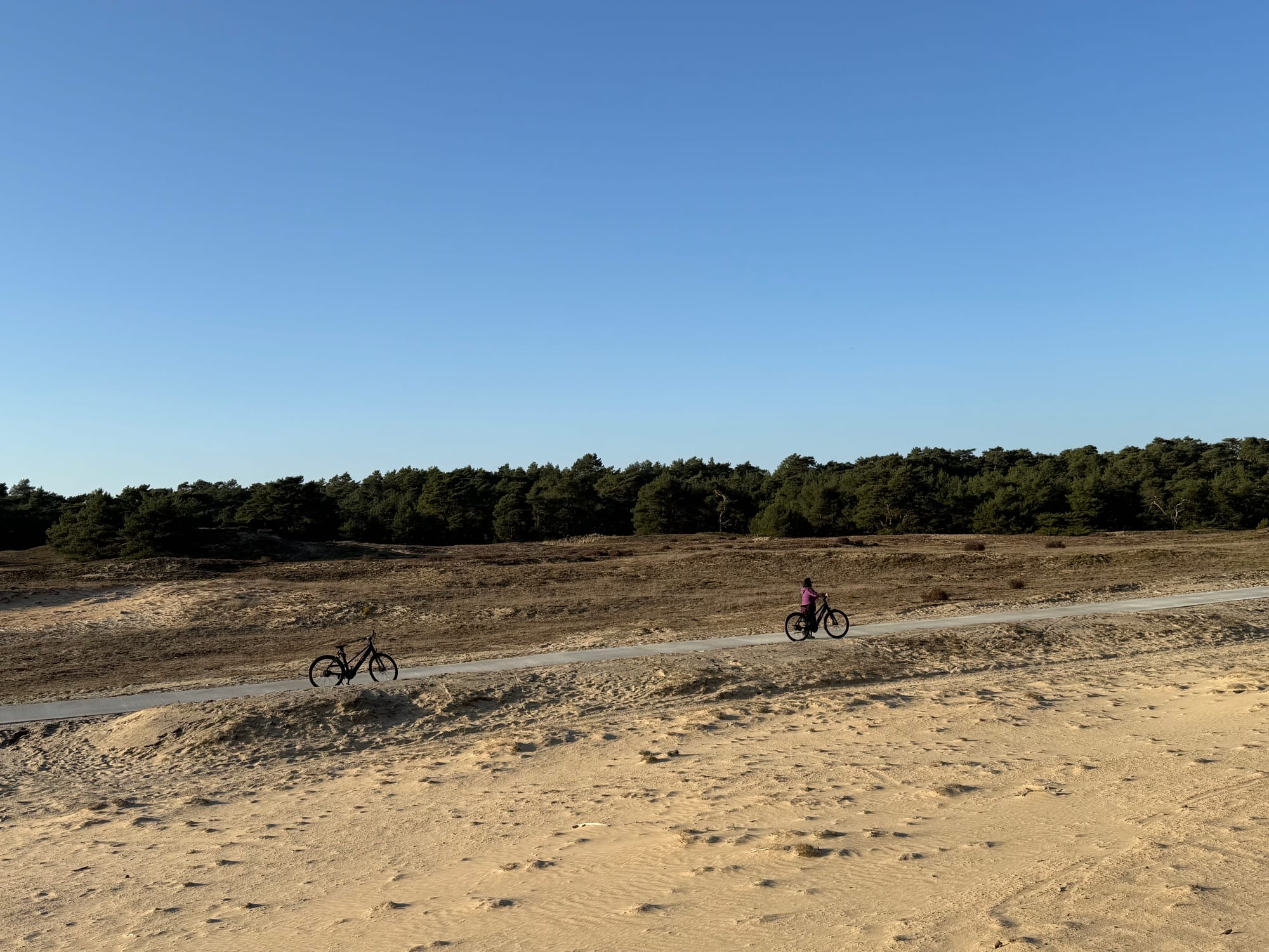 The Delegation Problem of the Internet