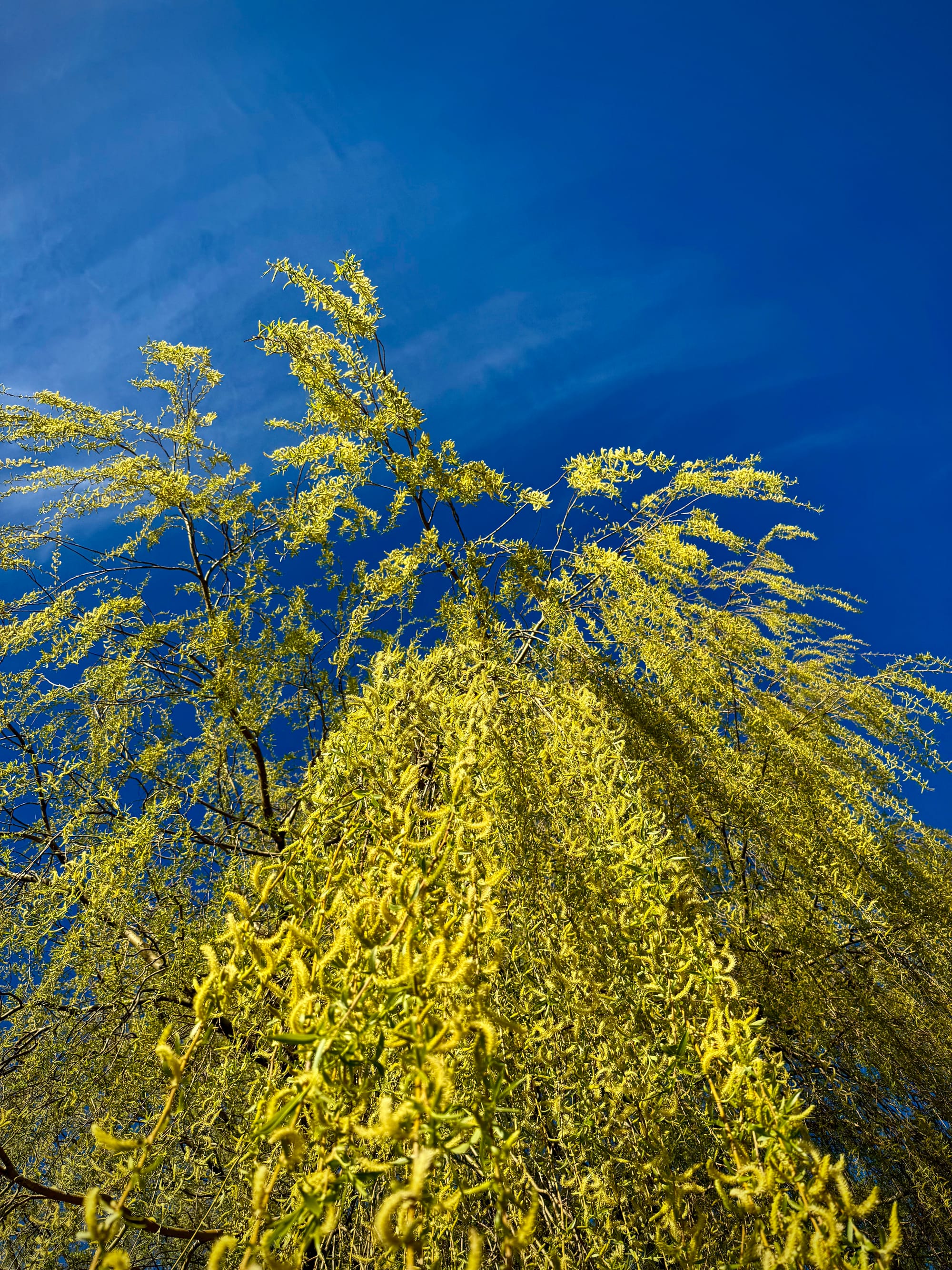 ChatGPT Thinks With You. Claude Builds With You.