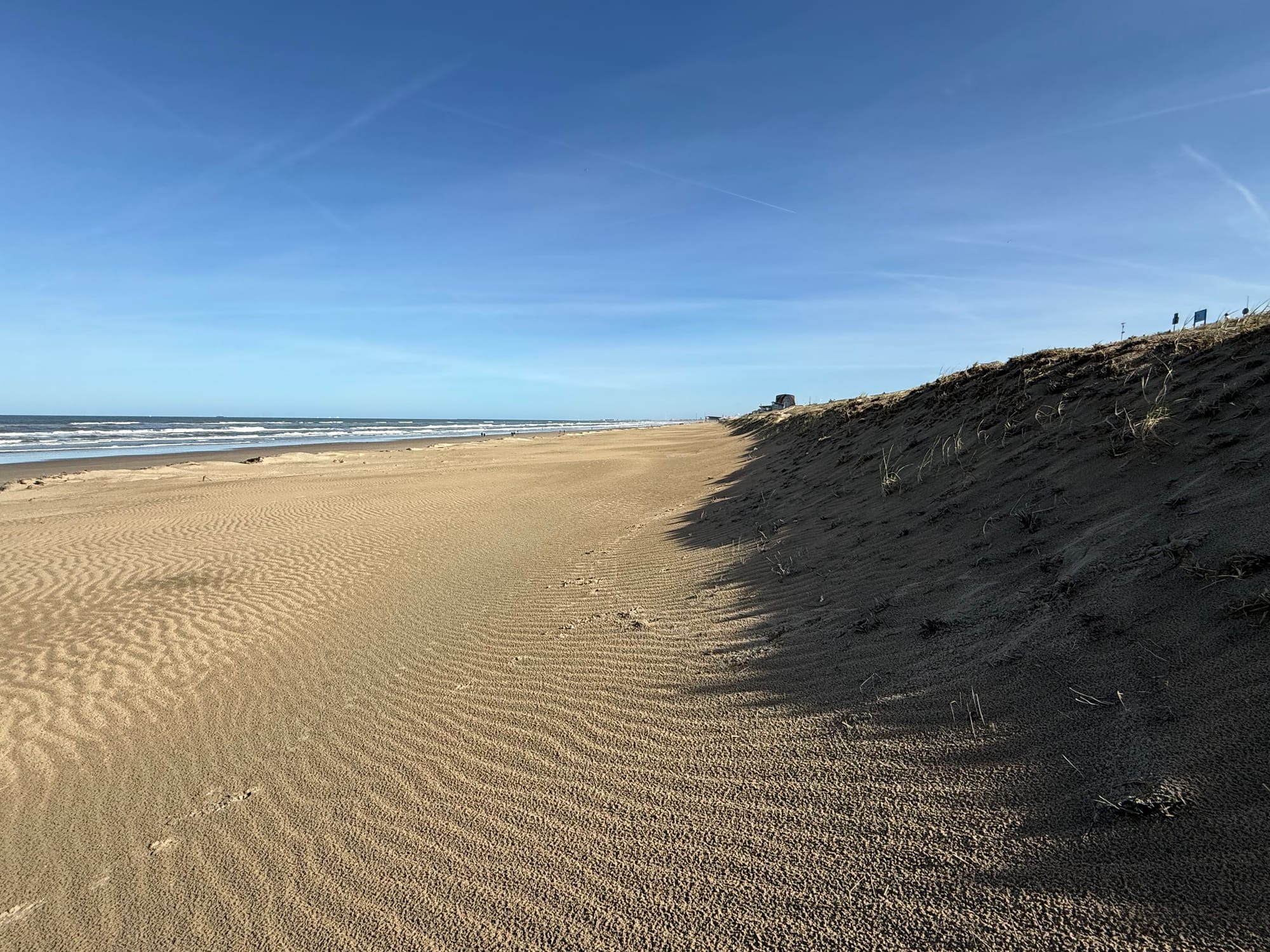 Running Gemma 4 on Your iPhone