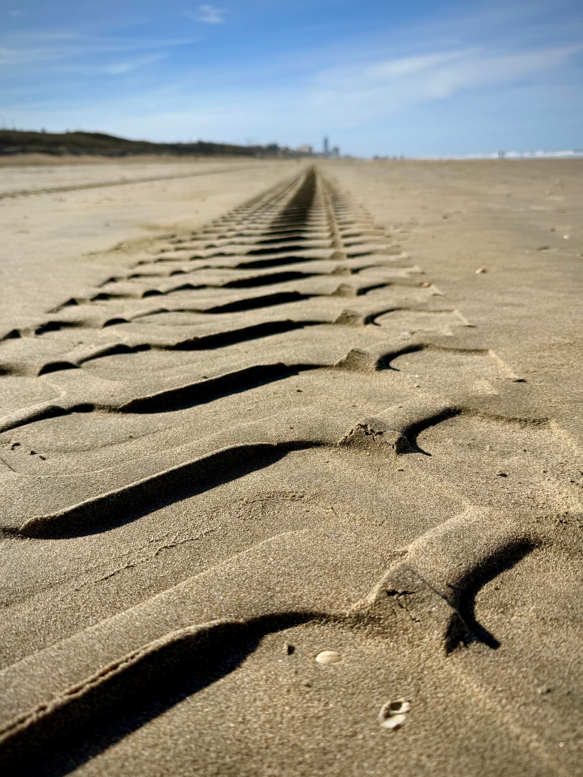 The Neural Engine Does Not Run Your LLM