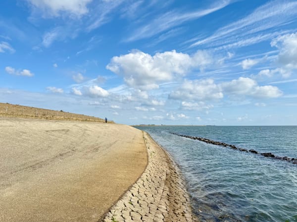 Streams and Archives: Two Ways of Living with Our Digital Data