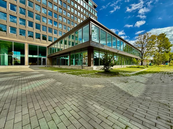 AI’s Impact on Work, People, and Labour Law