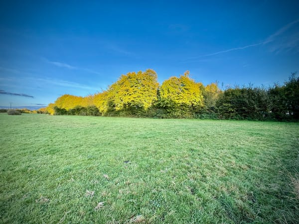 From Hype to Workflows: Where AI’s Real Shift is Happening