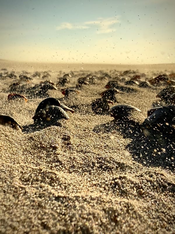 Cybernetics: The Idea Behind Cyber