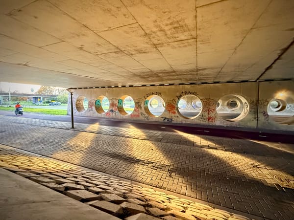 Reskilling the Mind: Europe’s Next Transition