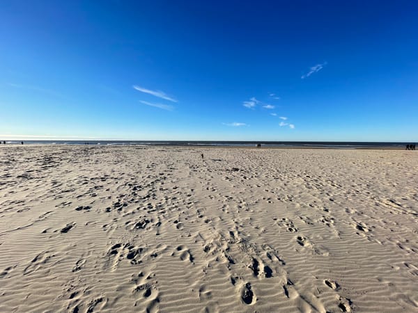 The Real Cost of Leaving Microsoft 365