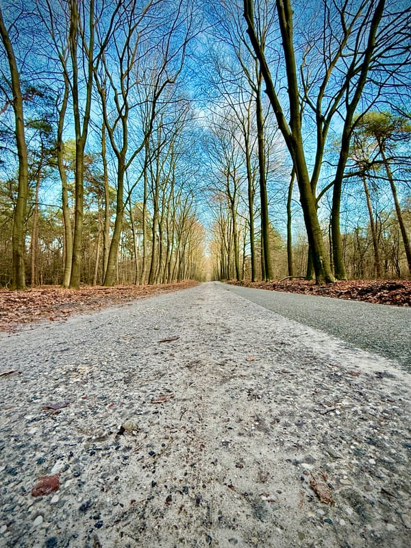 The Hot Potato of Compliance