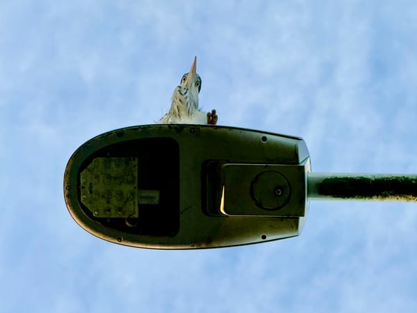 Qivalis, a New Euro Stablecoin