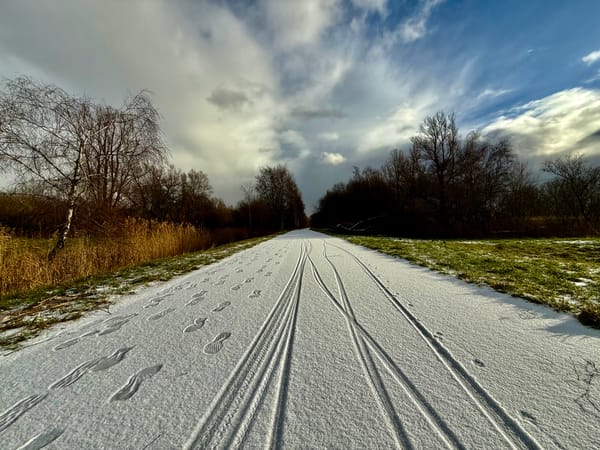 Exploring ISO 42001 and AI governance