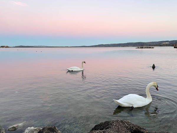 Colour, systems, and the moment it clicked