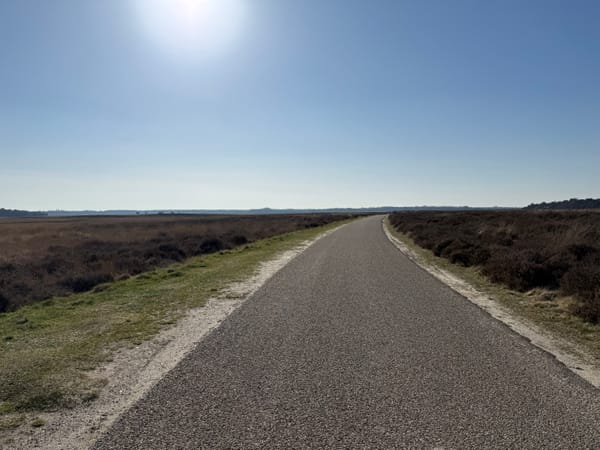 A Wider Frame: Apple’s Camera Features in Practice