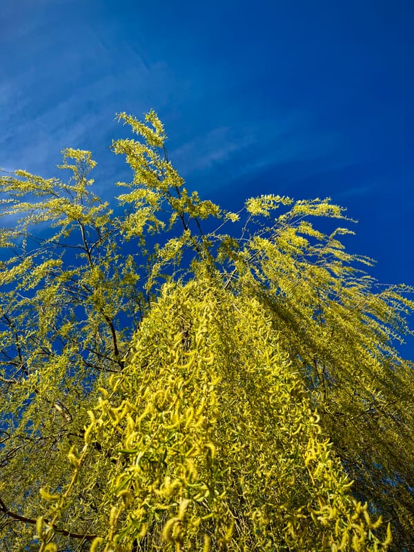 ChatGPT Thinks With You. Claude Builds With You.