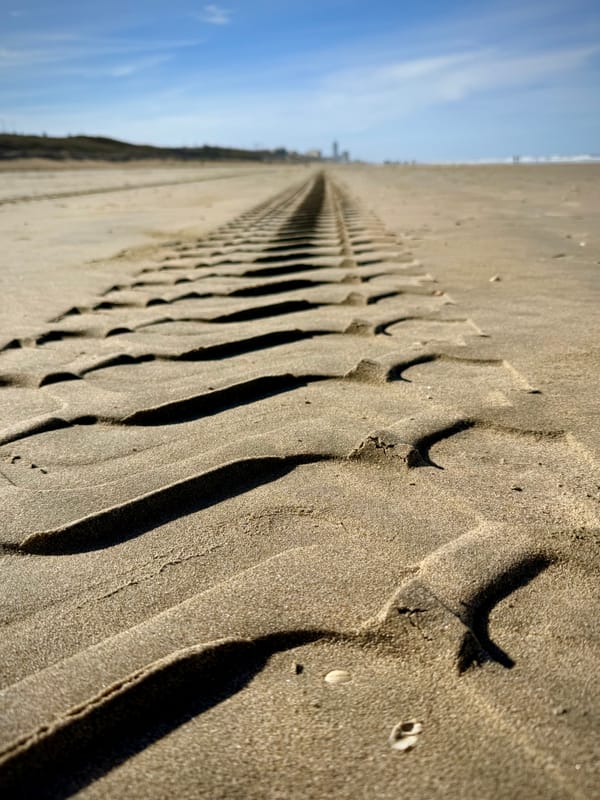 The Neural Engine Does Not Run Your LLM