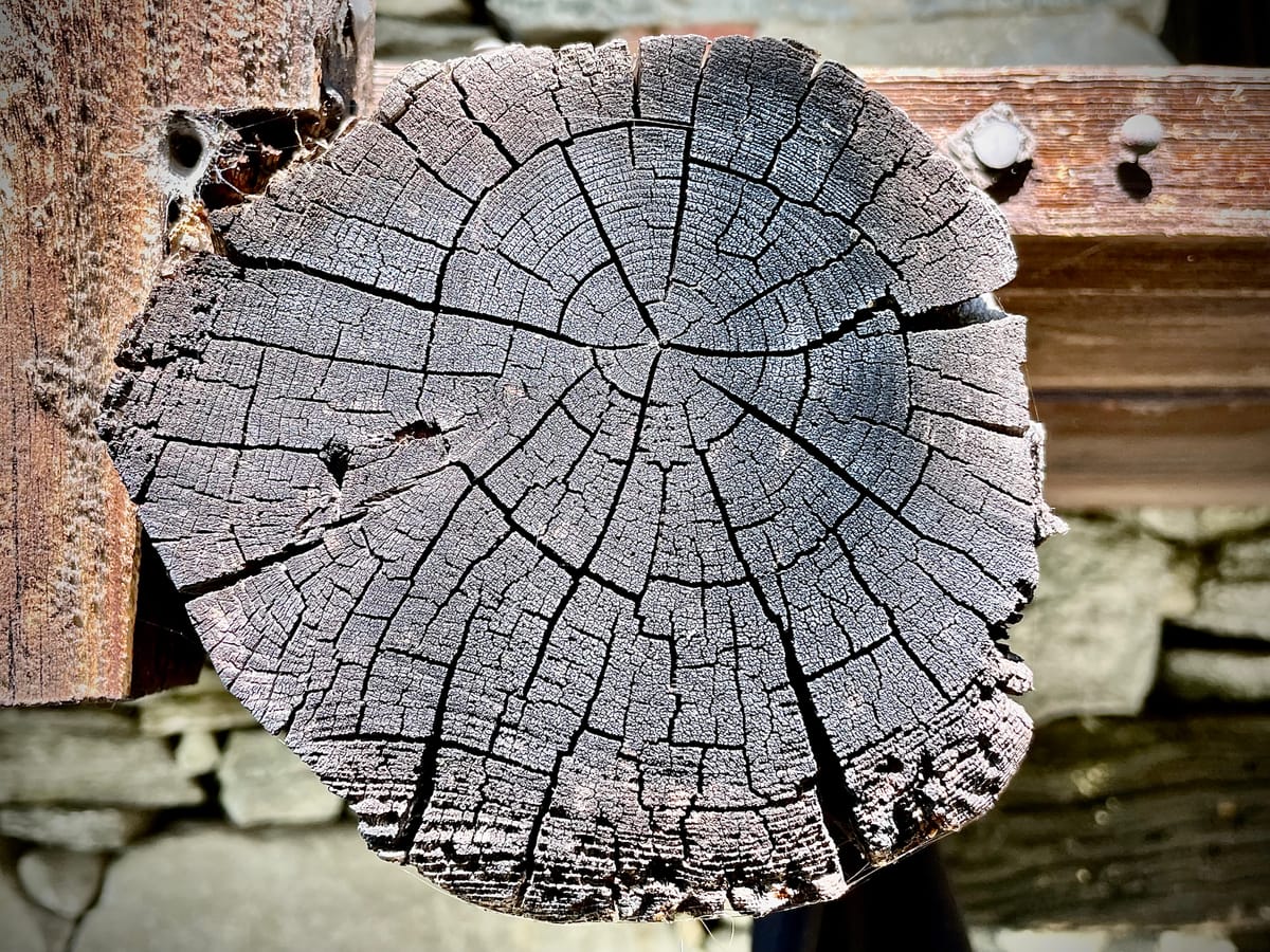 Cybernetics: The Idea Behind Cyber