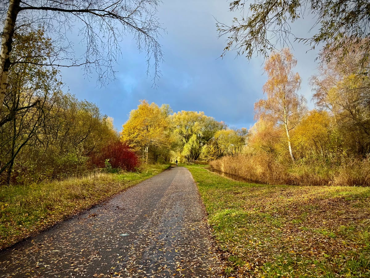 Making Content Ready for Intelligence