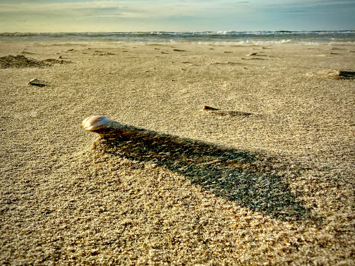 The Workspace Advantage: Google’s Quiet Lead in the AI Shift