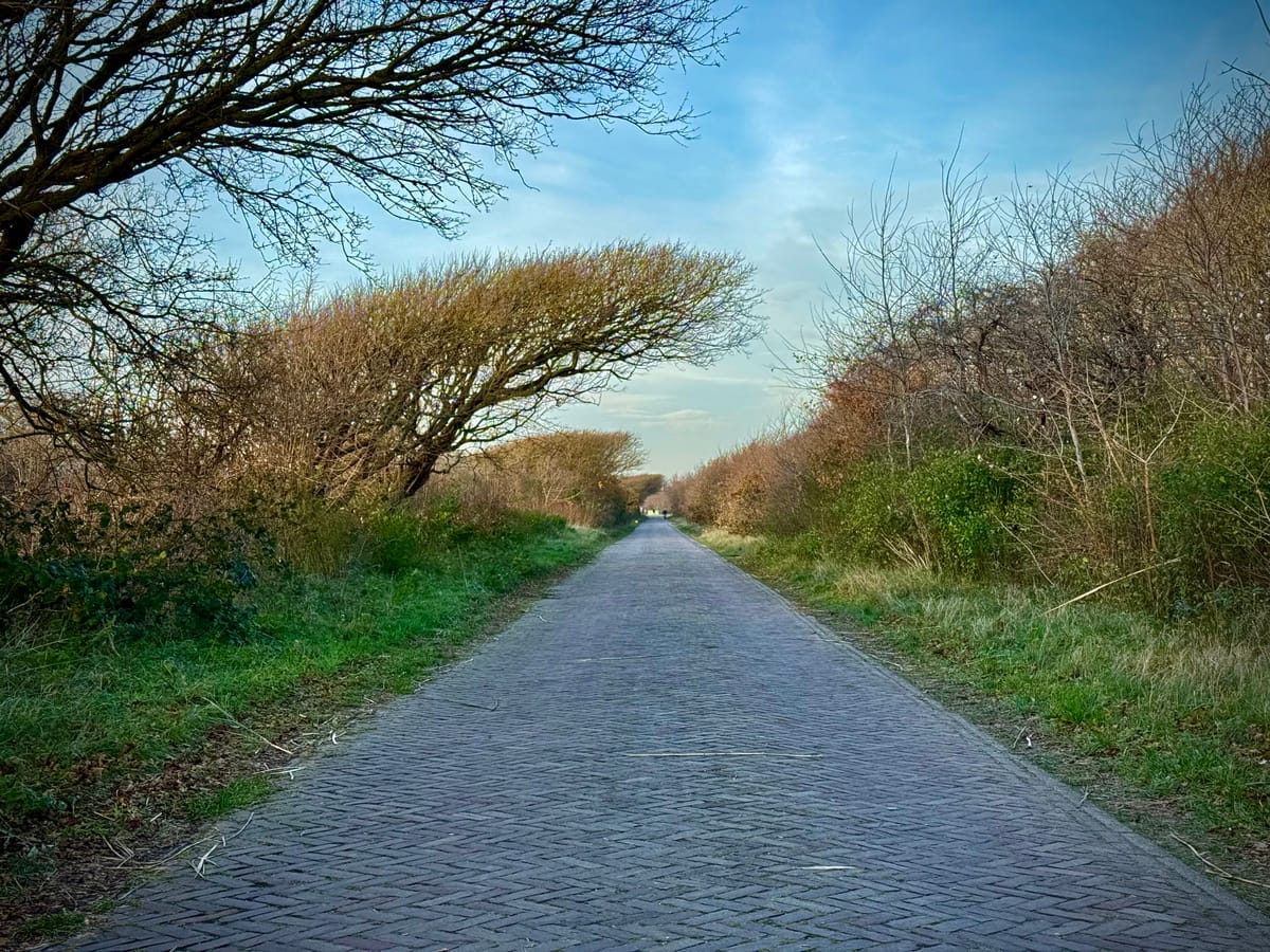 The Workspace Advantage: Google’s Quiet Lead in the AI Shift