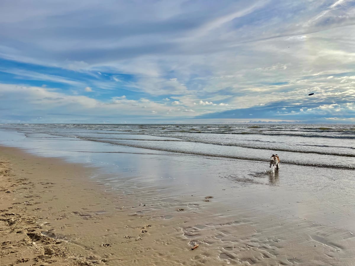 Voice Mode Without the Screen