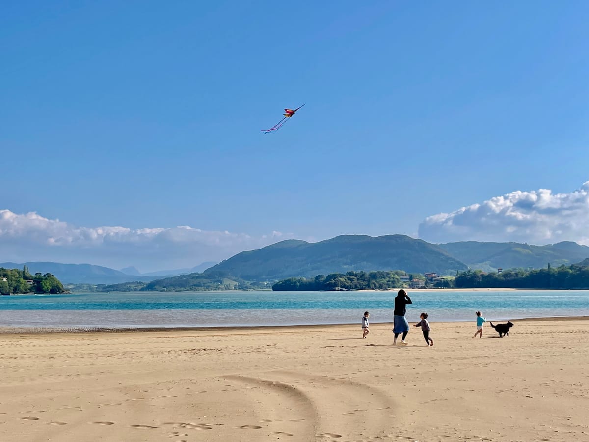 From Silicon to Intelligence: Understanding the Hardware Behind AI